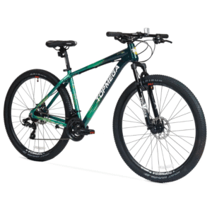 BICICLETA TOPMEGA SUNSHINE VERDE R29