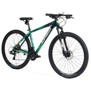 BICICLETA TOPMEGA SUNSHINE VERDE R29