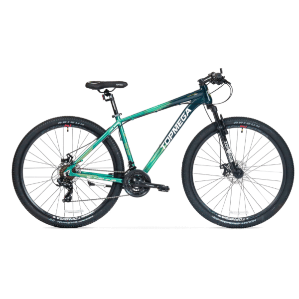 BICICLETA TOPMEGA SUNSHINE VERDE R29 - Imagen 2