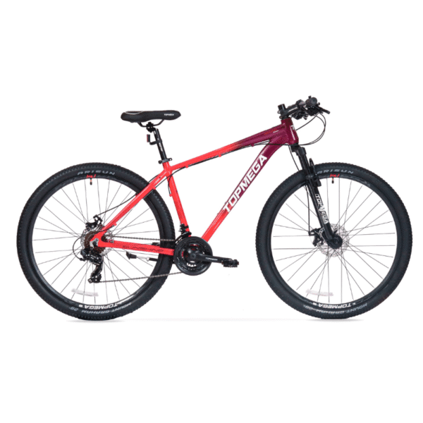 BICICLETA TOPMEGA SUNSHINE CORAL/VIOLETA R29 T.S - Imagen 2