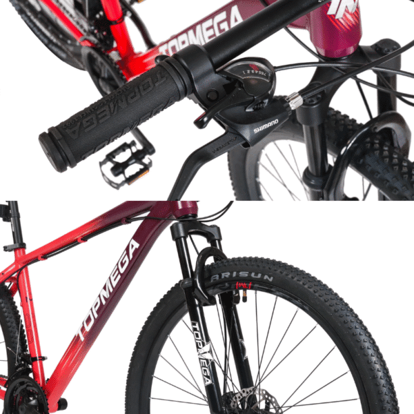 BICICLETA TOPMEGA SUNSHINE CORAL/VIOLETA R29 T.S - Imagen 3