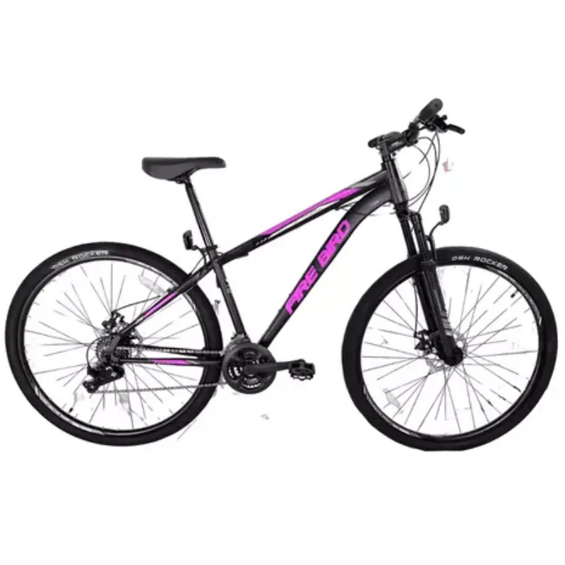 BICICLETA FIREBIRD ACERO NG/RS R29