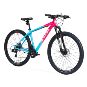 BICICLETA TOPMEGA SUNSHINE CEL/FUX T.M. R29