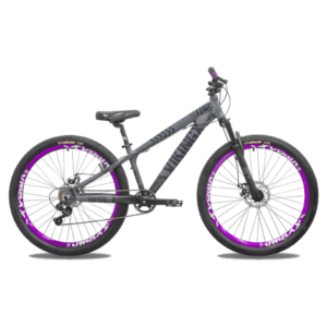 BICICLETA VIKING TUFF 25